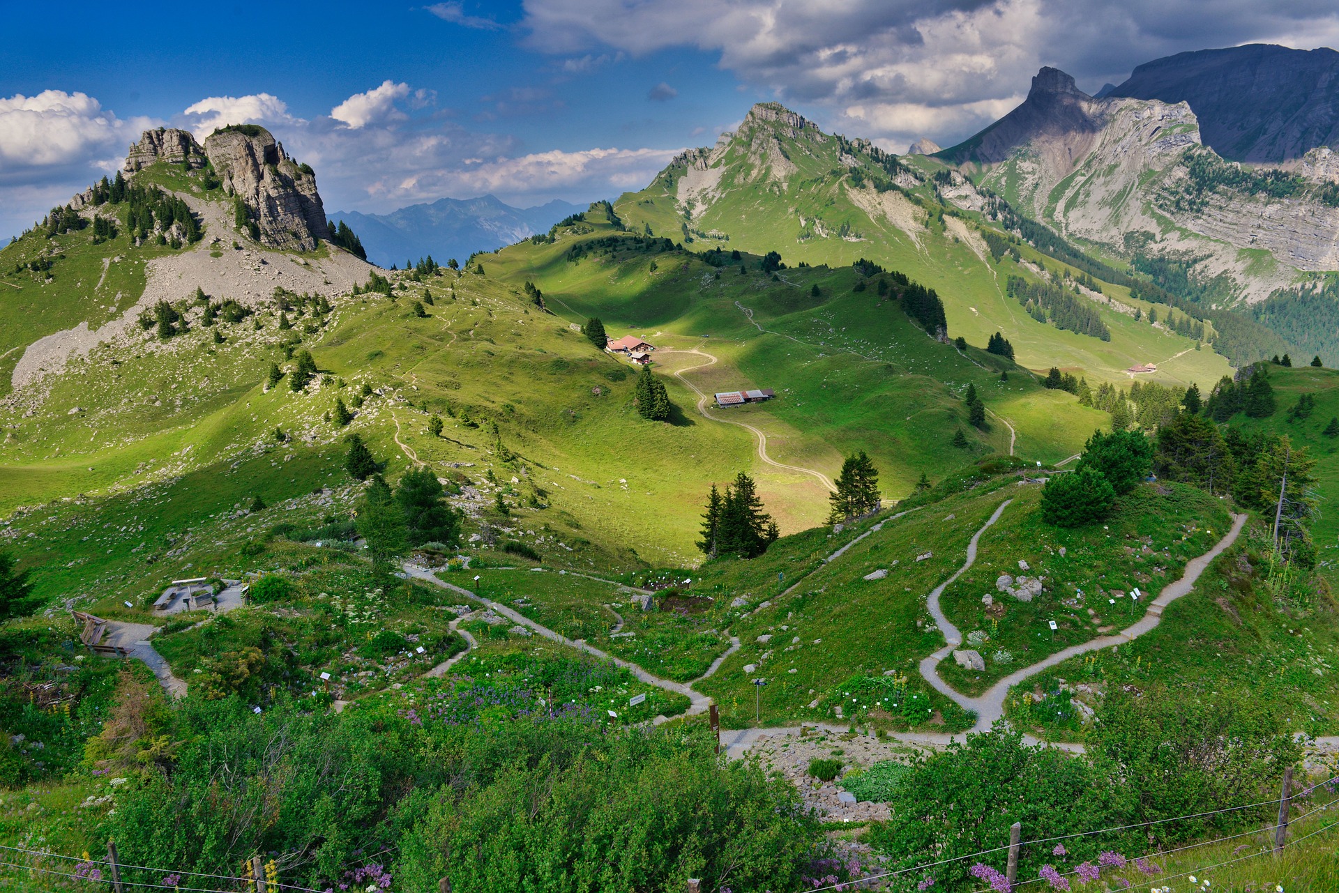 A picture of the alps, mountains covered in grass