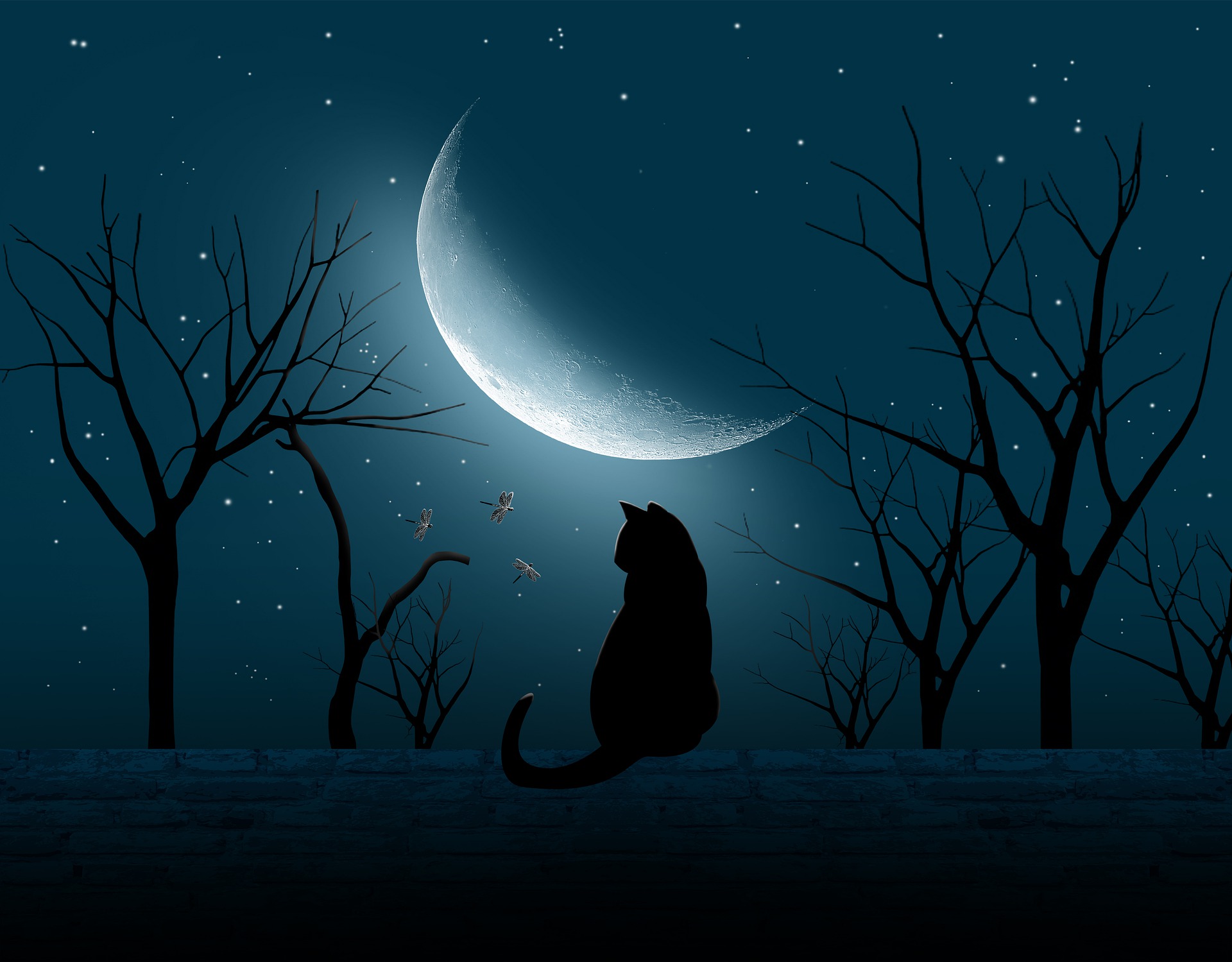 A cat on a roof with the moon and some trees in the background